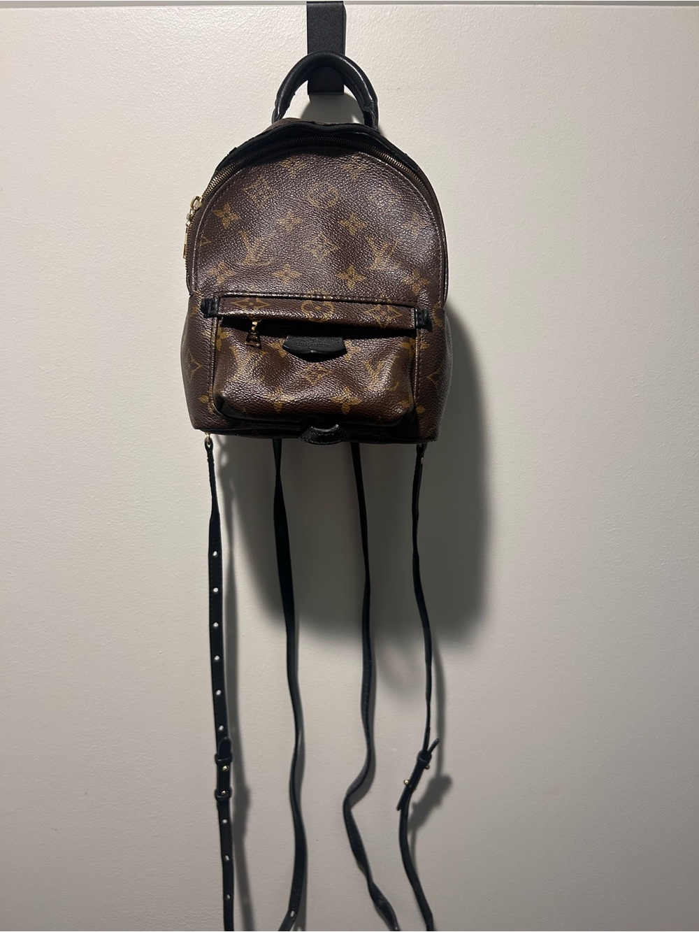 Louis Vuitton Palm Springs Mini Backpack in Brown & Black